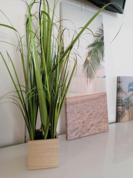 Ferienwohnung Charlotte Sonnenschein FDH Exteriér fotografie